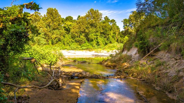 00 Garner Road, Goodrich, TX 77335