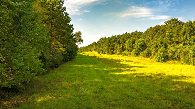 00 Garner Road, Goodrich, TX 77335