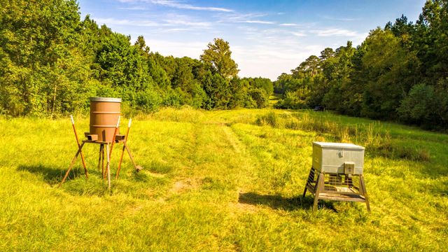 00 Garner Road, Goodrich, TX 77335