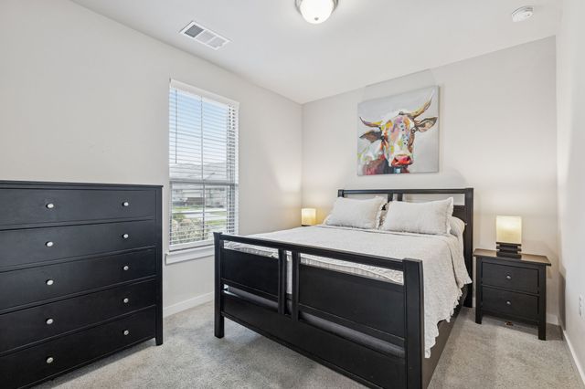 3881 Marigold Lane, Prosper, TX 75078