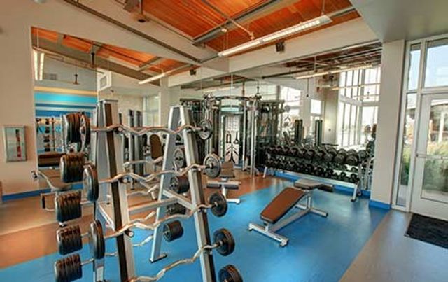 3881 Marigold Lane, Prosper, TX 75078