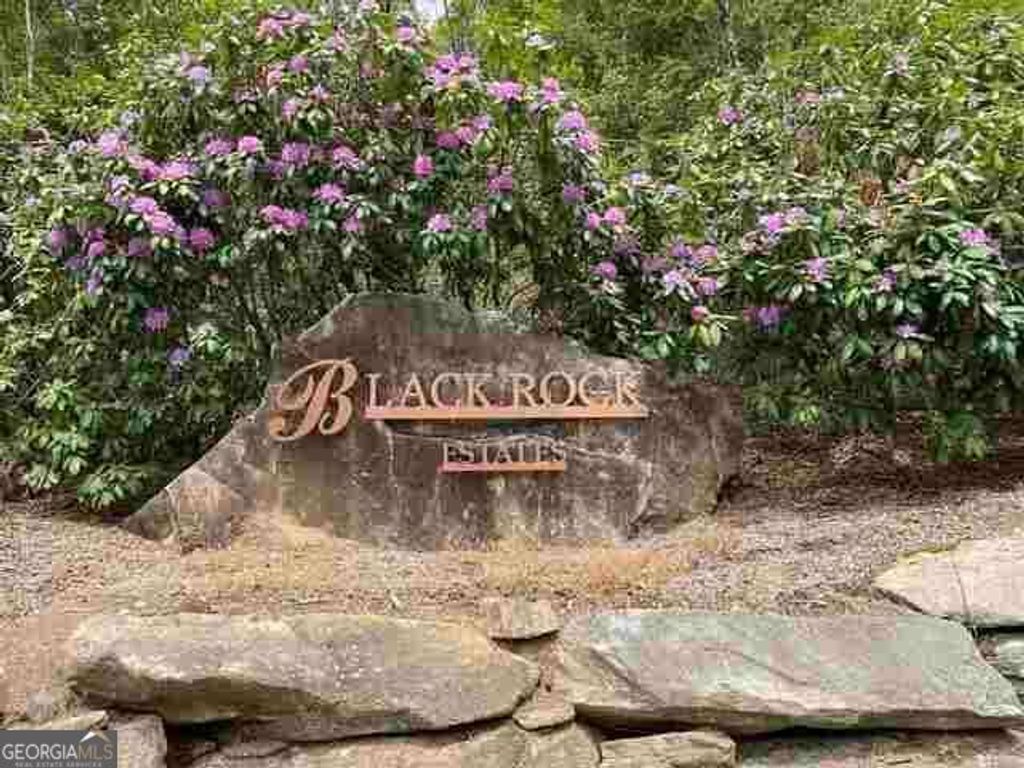 0 Yellow Trillium Estates LOT 40, Clayton, GA 30525 — photo 2