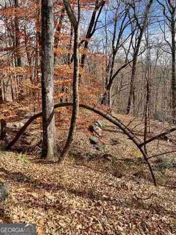 0 Yellow Trillium Estates LOT 40, Clayton, GA 30525 — photo 3