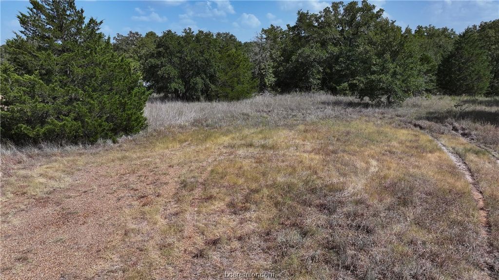 00 Sue Lane, Somerville, TX 77879 — photo 2
