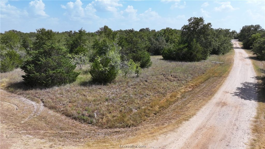 00 Sue Lane, Somerville, TX 77879 — photo 4