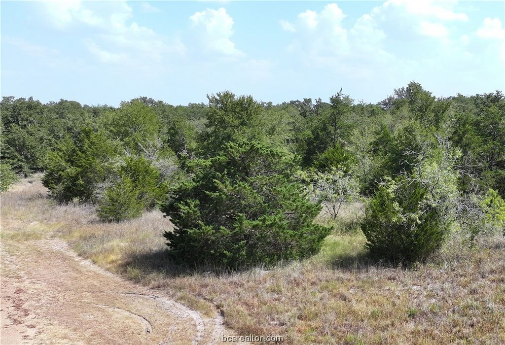 00 Sue Lane, Somerville, TX 77879 — photo 5