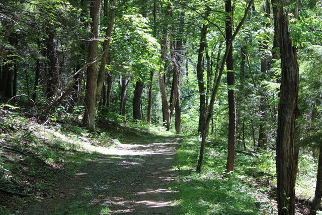 7923 Poor Mountain RD, Bent Mountain, VA 24059