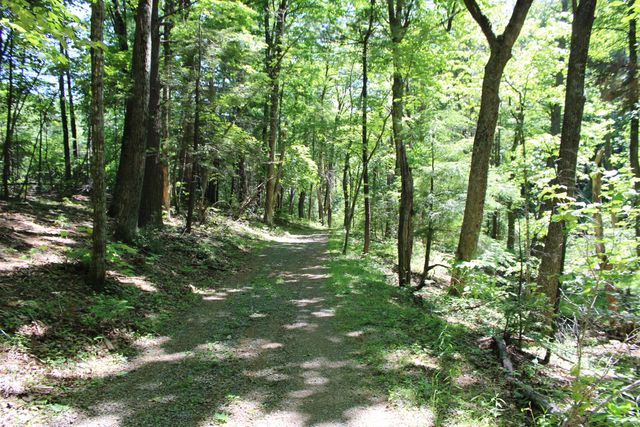 7923 Poor Mountain RD, Bent Mountain, VA 24059