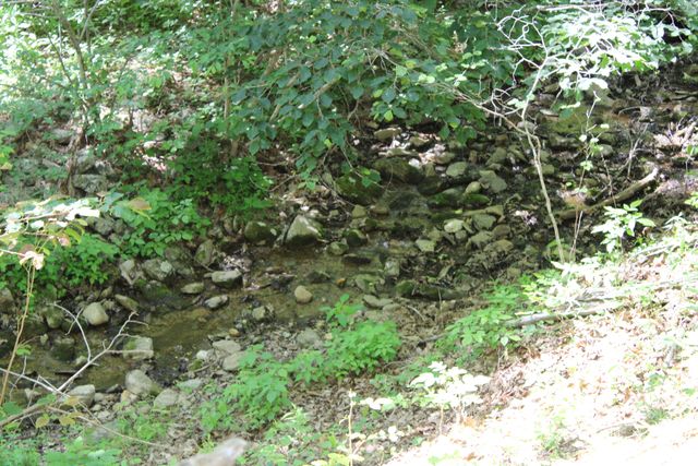 7923 Poor Mountain RD, Bent Mountain, VA 24059