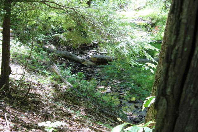 7923 Poor Mountain RD, Bent Mountain, VA 24059