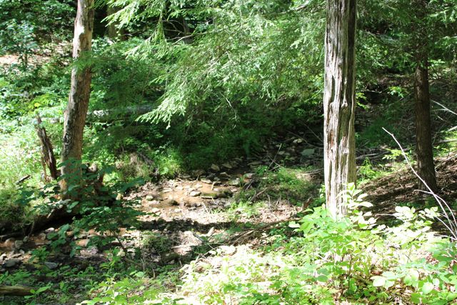 7923 Poor Mountain RD, Bent Mountain, VA 24059