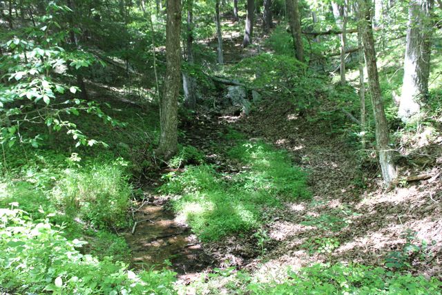 7923 Poor Mountain RD, Bent Mountain, VA 24059