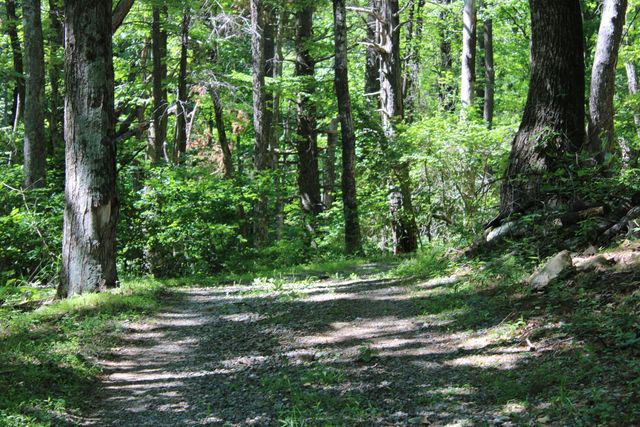 7923 Poor Mountain RD, Bent Mountain, VA 24059