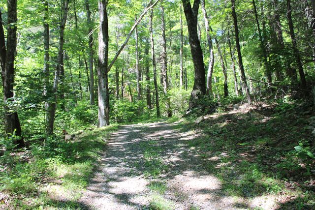 7923 Poor Mountain RD, Bent Mountain, VA 24059