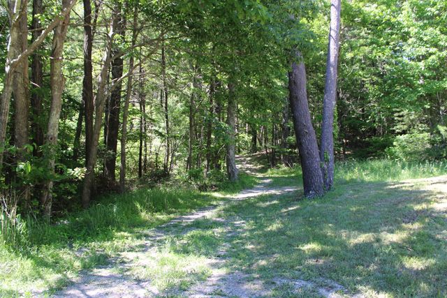 7923 Poor Mountain RD, Bent Mountain, VA 24059