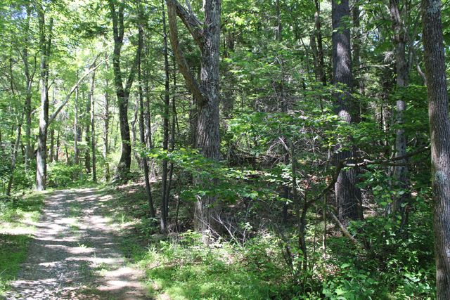 7923 Poor Mountain RD, Bent Mountain, VA 24059