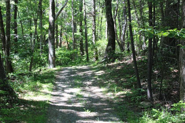 7923 Poor Mountain RD, Bent Mountain, VA 24059