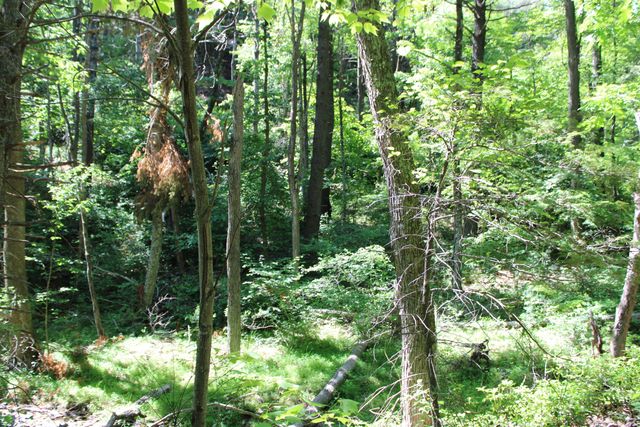7923 Poor Mountain RD, Bent Mountain, VA 24059