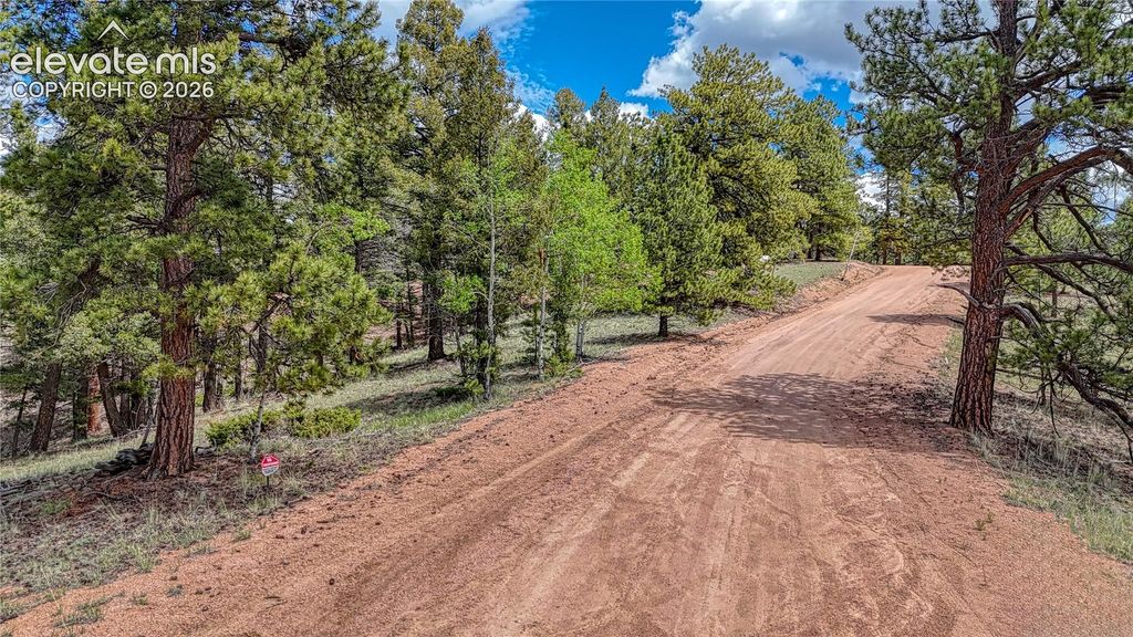 26 N Eldorado Circle, Florissant, CO 80816 — photo 2