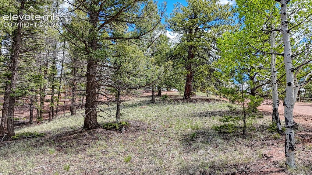 26 N Eldorado Circle, Florissant, CO 80816 — photo 3