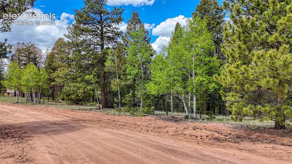 26 N Eldorado Circle, Florissant, CO 80816 — photo 5