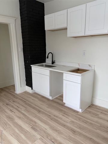 242 E Euclid Street, Detroit, MI 48202