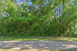 TBD Paradise Point Drive, Willis, TX 77318