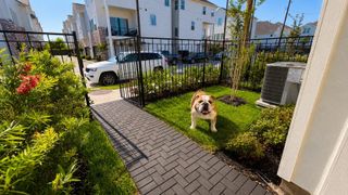 6338 Paddington Bend Drive, Houston, TX 77008