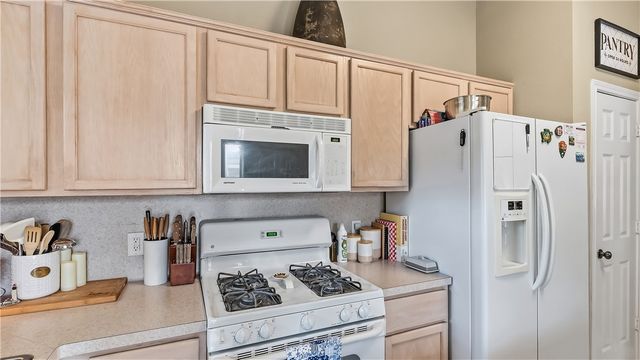 3924 Tranquil Path Drive, College Station, TX 77845