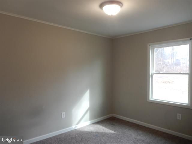 114 MARSHALL, Madison, VA 22727