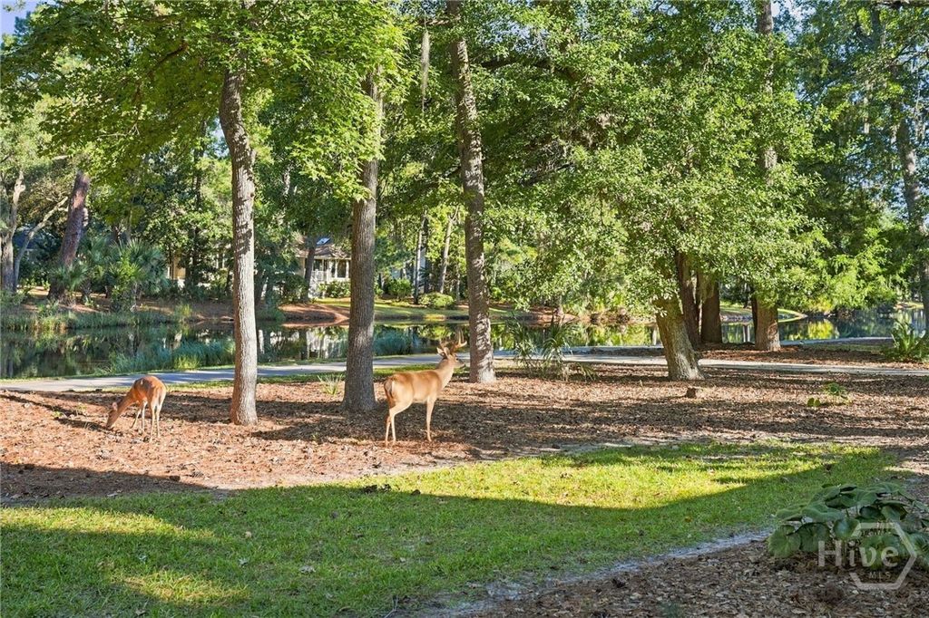 Image 38 of property listing at 3 Ward Lane, Savannah, GA 31411
