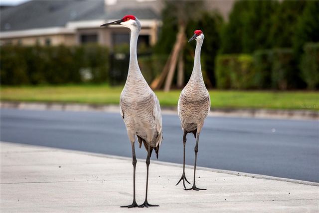 16307 66TH LANE E, Parrish, FL 34219