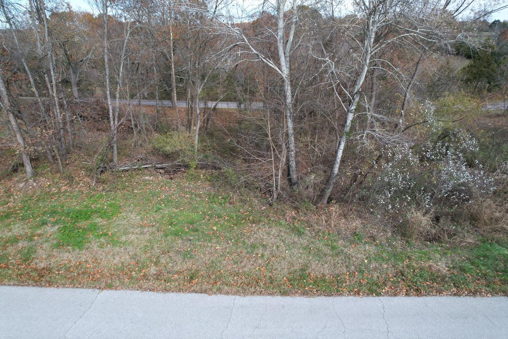 11 Rodeo Lane, Ava, MO 65608