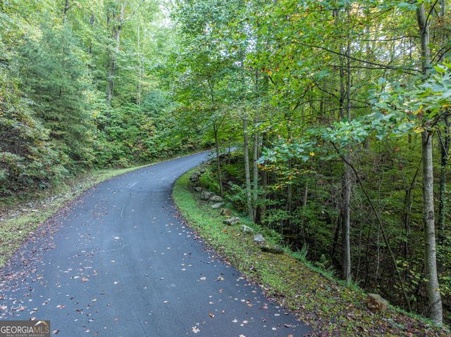 LOT 3 Wilderness Way, Ellijay, GA 30540