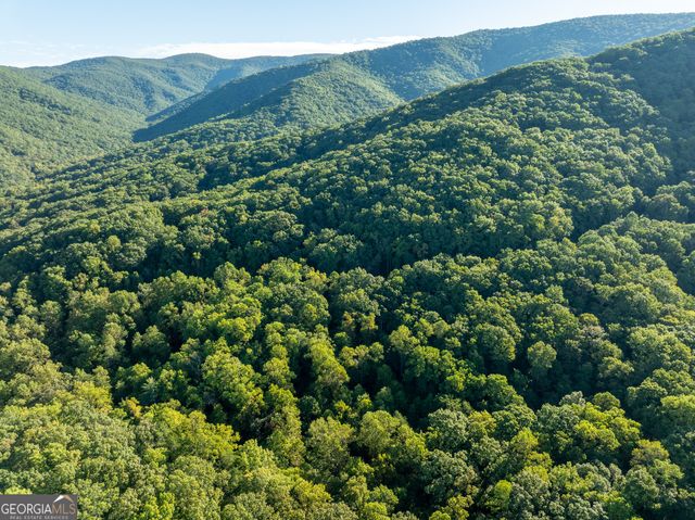 LOT 3 Wilderness Way, Ellijay, GA 30540