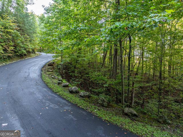 LOT 3 Wilderness Way, Ellijay, GA 30540