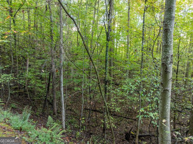 LOT 3 Wilderness Way, Ellijay, GA 30540
