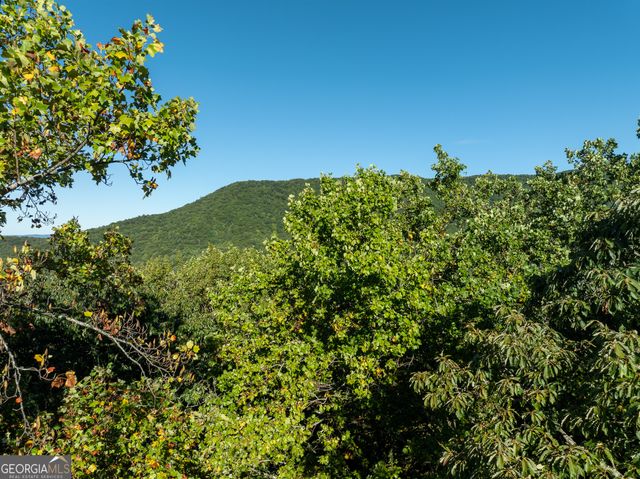 LOT 3 Wilderness Way, Ellijay, GA 30540