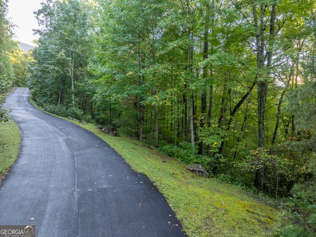 LOT 3 Wilderness Way, Ellijay, GA 30540