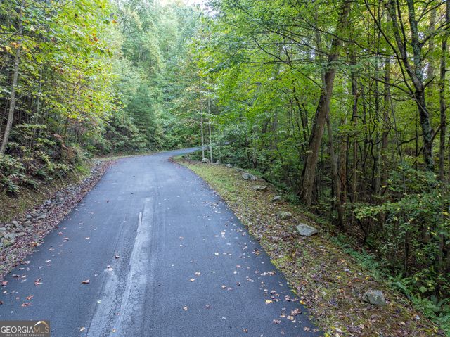 LOT 3 Wilderness Way, Ellijay, GA 30540