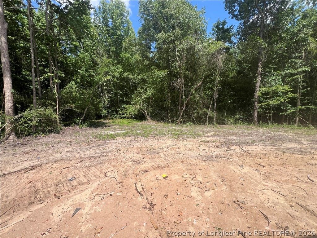 517 Grand Griffon Way, Lillington, NC 27546 — photo 23