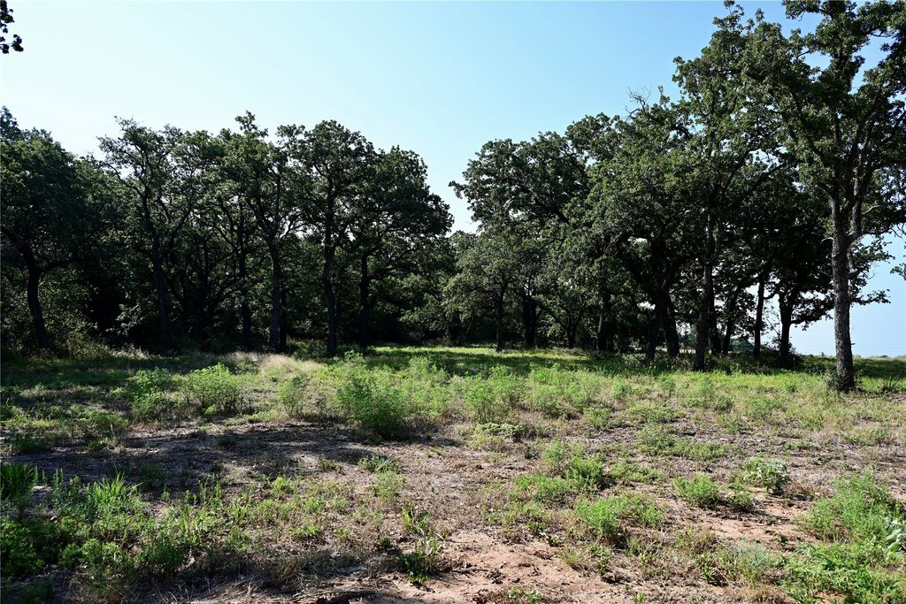 Lot 61 Camden Lane, Springtown, TX 76082