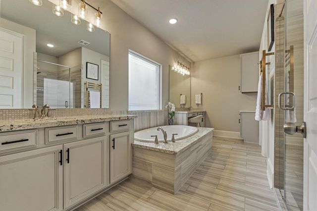 238 Bronze View Drive, Montgomery, TX 77316