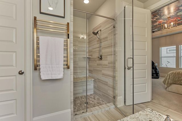 238 Bronze View Drive, Montgomery, TX 77316