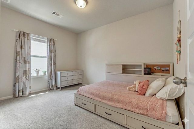 238 Bronze View Drive, Montgomery, TX 77316