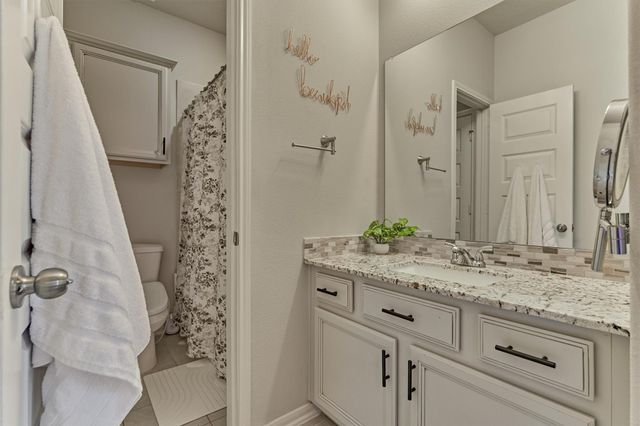 238 Bronze View Drive, Montgomery, TX 77316