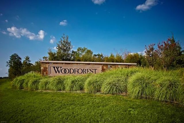 238 Bronze View Drive, Montgomery, TX 77316
