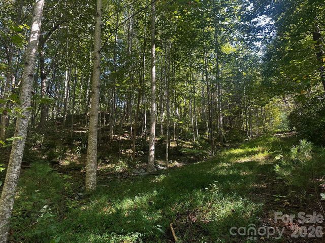 0 Clear Creek Trail, Lake Lure, NC 28746