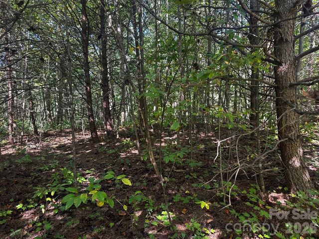 0 Clear Creek Trail, Lake Lure, NC 28746