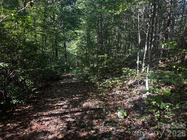 0 Clear Creek Trail, Lake Lure, NC 28746